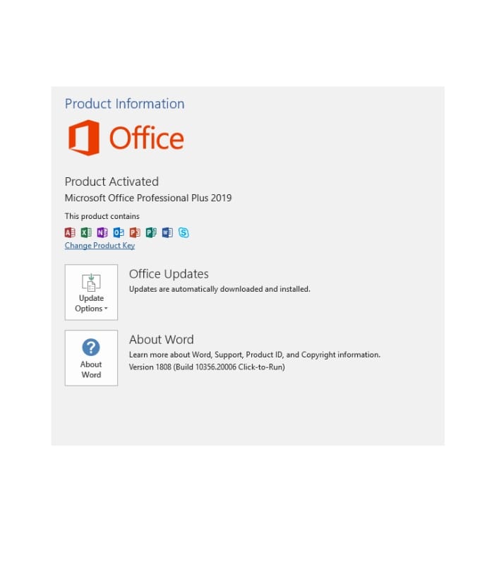 Microsoft Office 2019 Professional Plus
