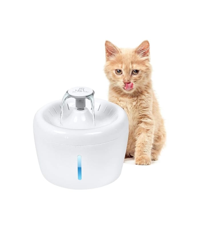 ALL FUR YOU – – Whisper Quiet Automatic Cat Water Fountain Dispenser