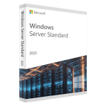 Windows Server 2025 Standard CD Key Instant Delivery