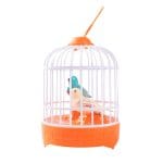 Birds Cage With Light & Sound