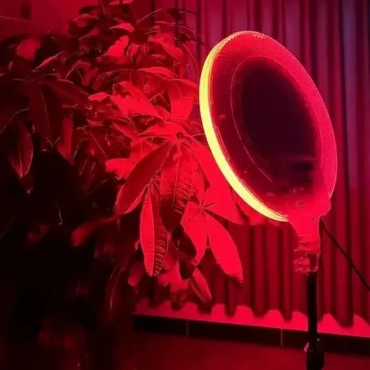 RGB LED Light CS2600 – Multi-Color Dimmable Lighting